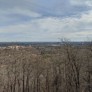 Meet your Posher, Wayne